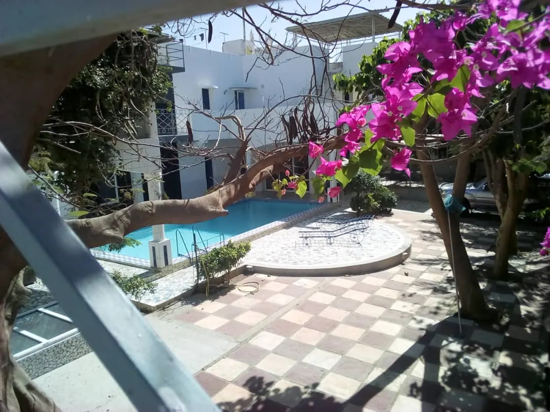 Vue sur la piscine à travers les bougainvilliers