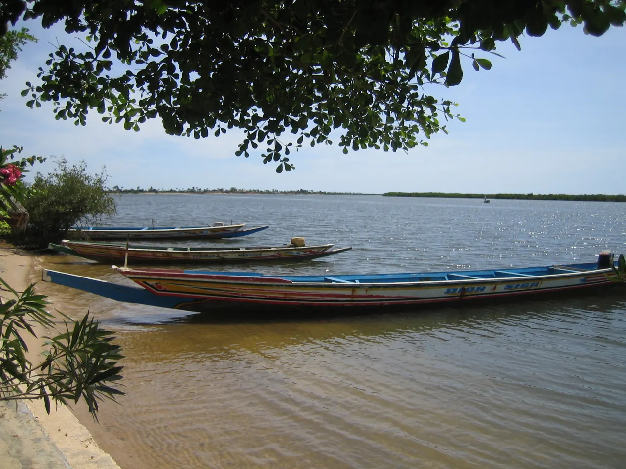Pirogues traditionnelles sur la lagune