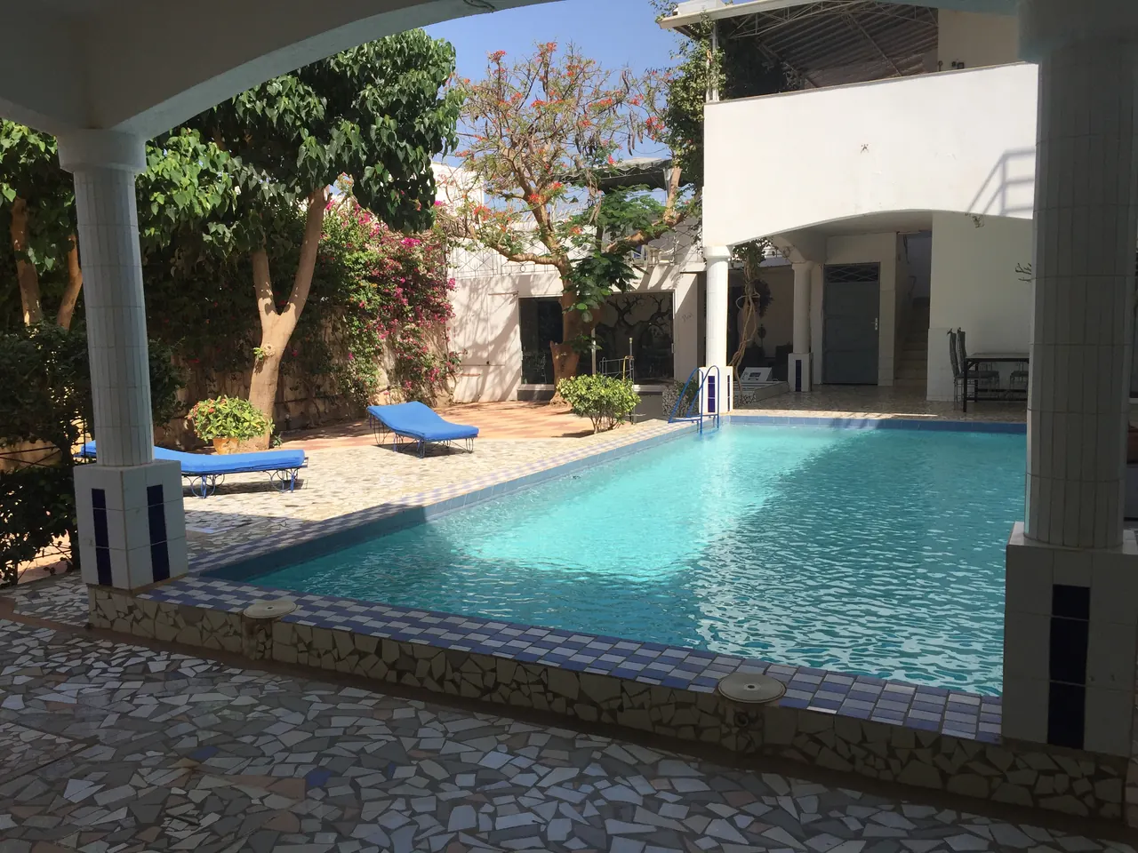 Piscine et transats sous les arbres