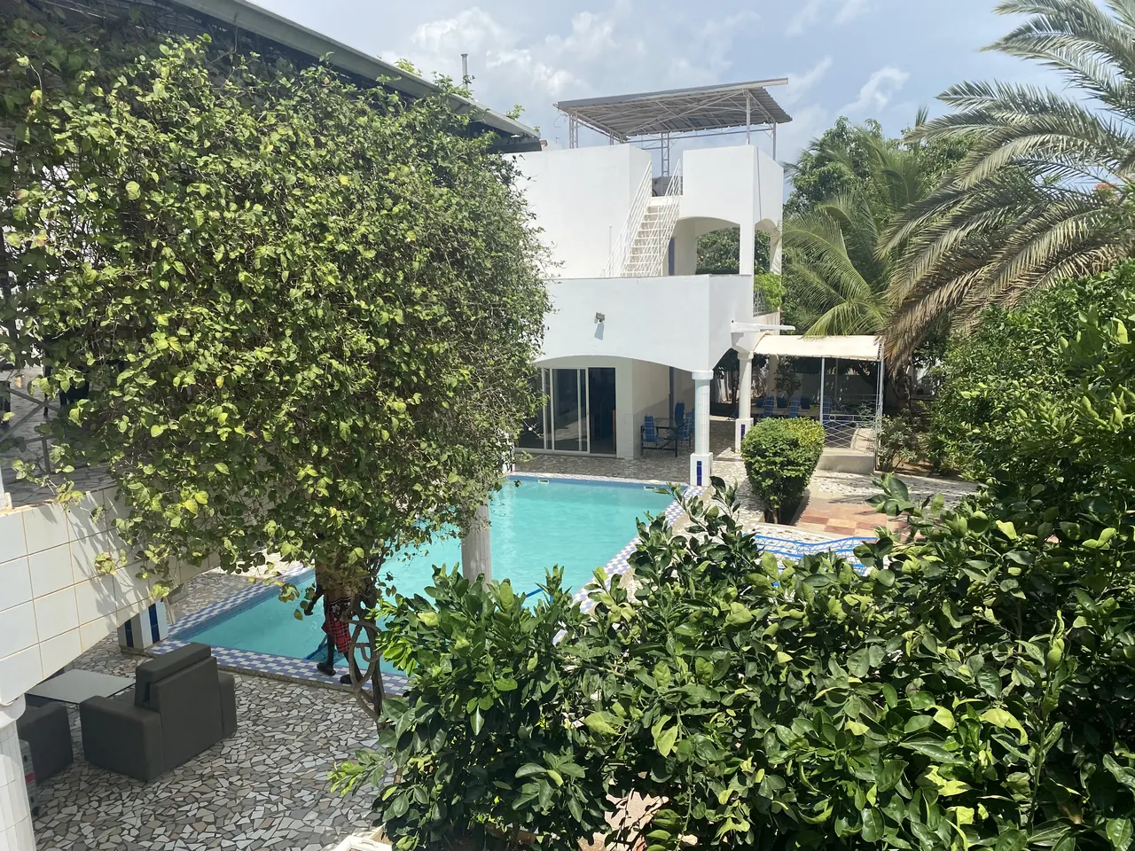 Façade de la villa et piscine derrière les agrumes
